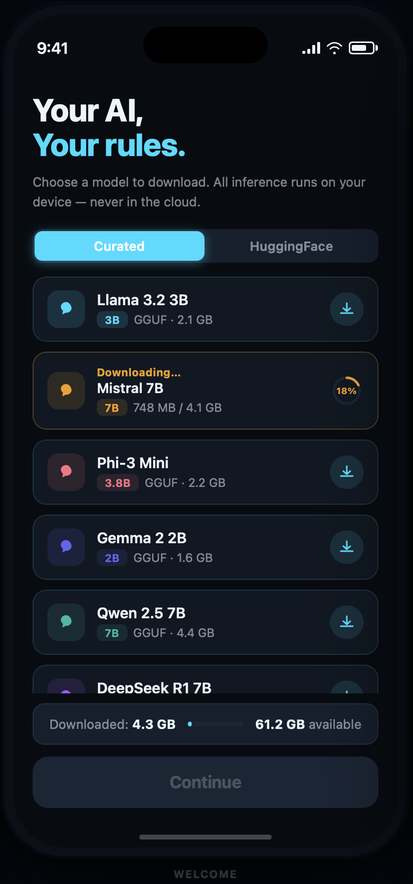 Local LLM welcome screen with model library